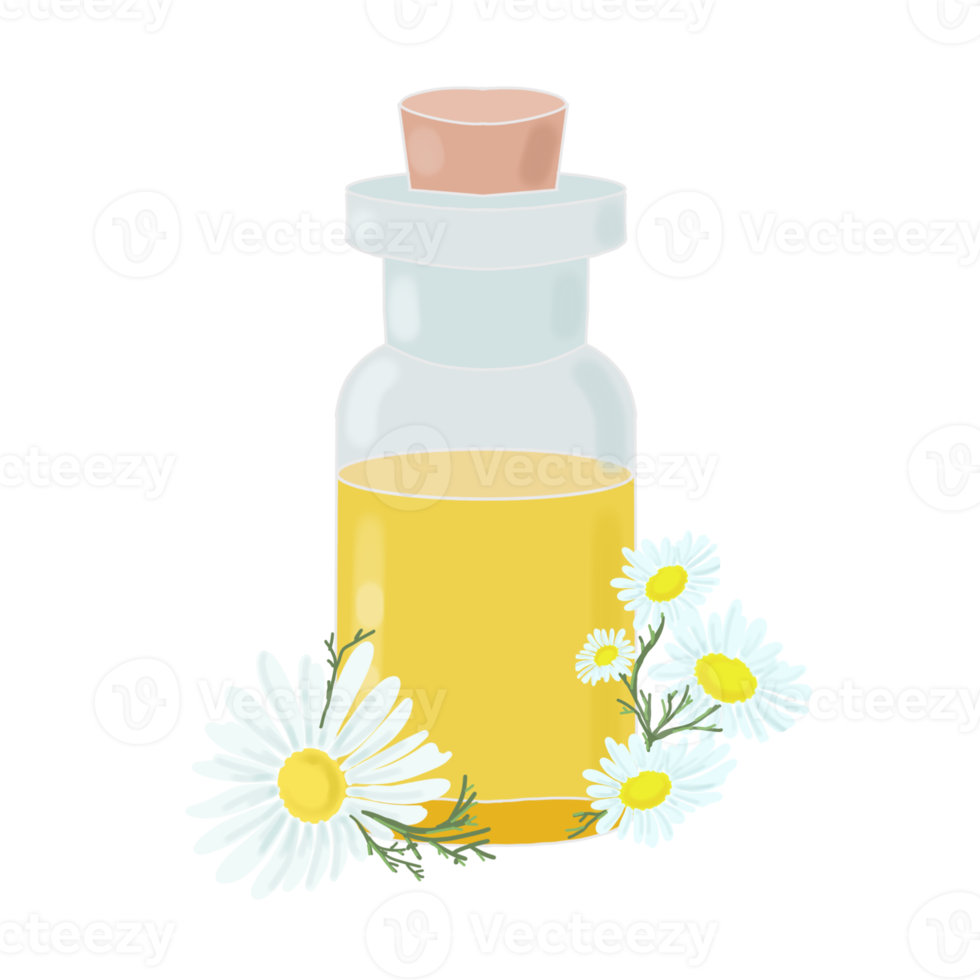 bottle with essential oil and chamomile flower png