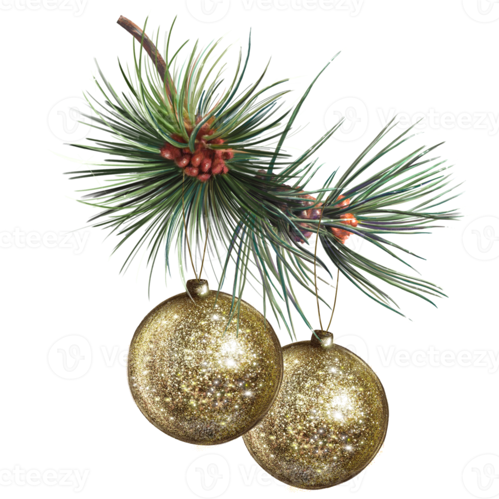 christmas golden balls hanging from a pine tree branch illustration png