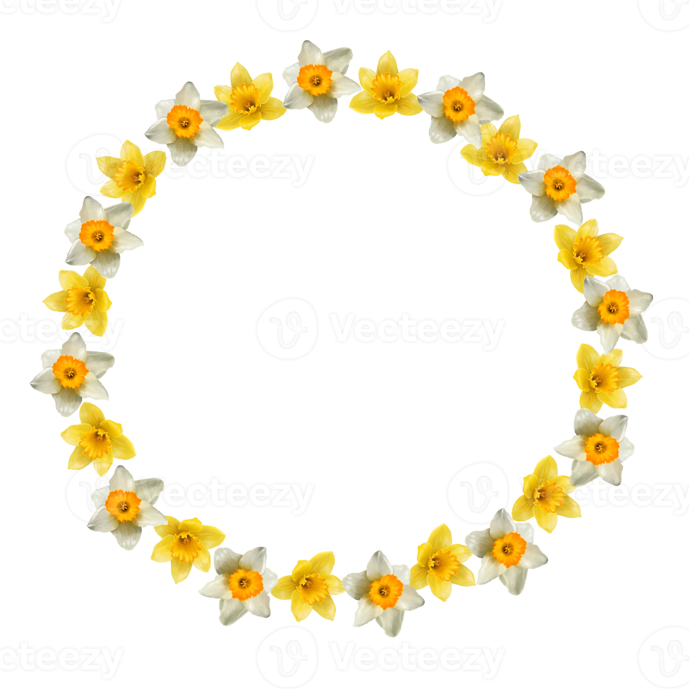 Free round frame of spring daffodils 15098721 PNG with Transparent