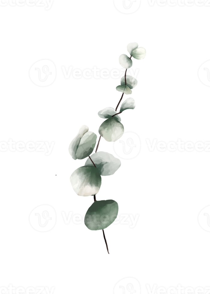 grön vattenfärg löv png