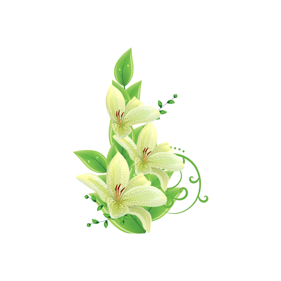Free flor de color blanco y verde decorativa con fondo transparente de hojas 15098853 PNG with Transparent Background Free flor de color blanco y verde decorativa con fondo transparente de hojas 15098853 PNG with Transparent Background