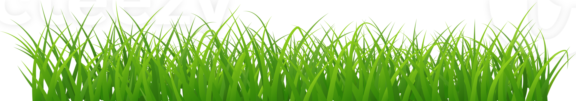 beautiful grass arranged beautifully png