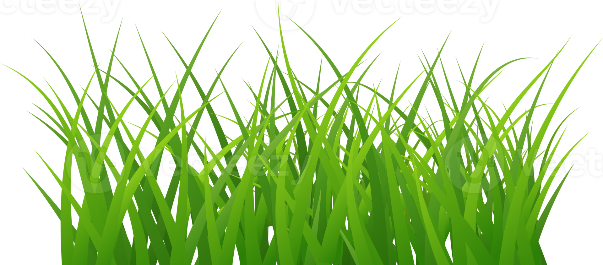 beautiful grass arranged beautifully png