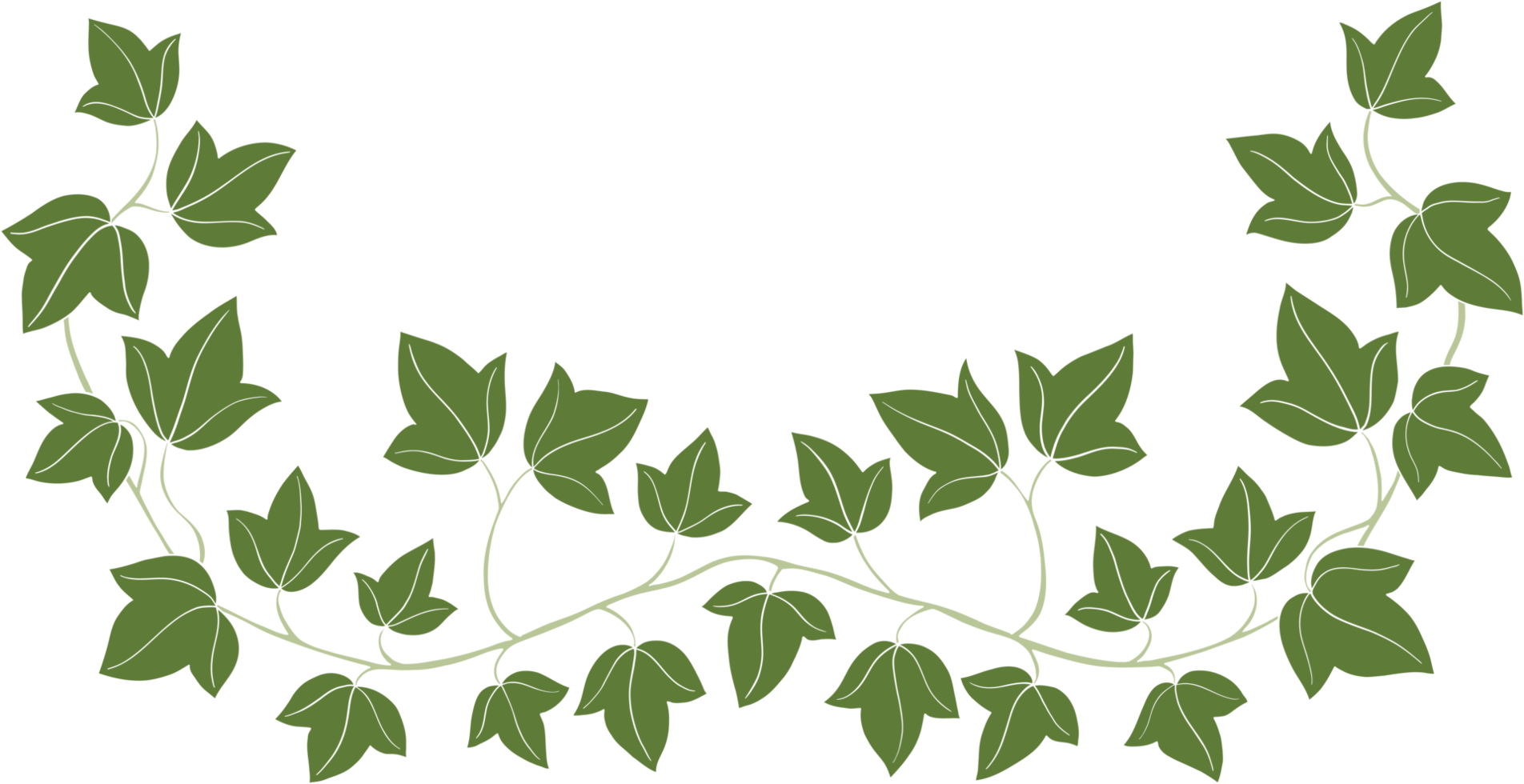 Simplicity ivy freehand drawing png