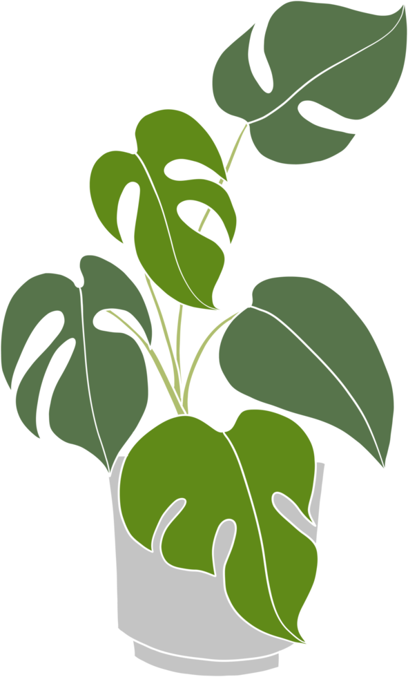 monstera fabriek uit de vrije hand tekening vlak ontwerp. png