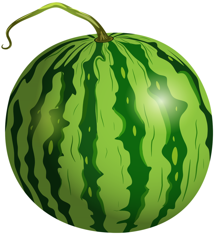 Wassermelone transparenter Hintergrund png