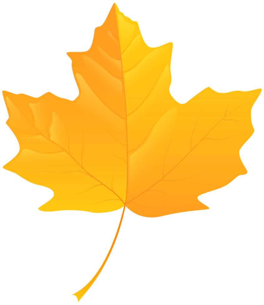 Yellow Leaf Transparent Background png