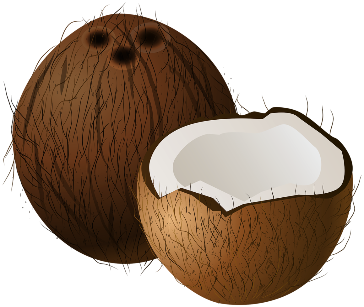 cocos fondo transparente png