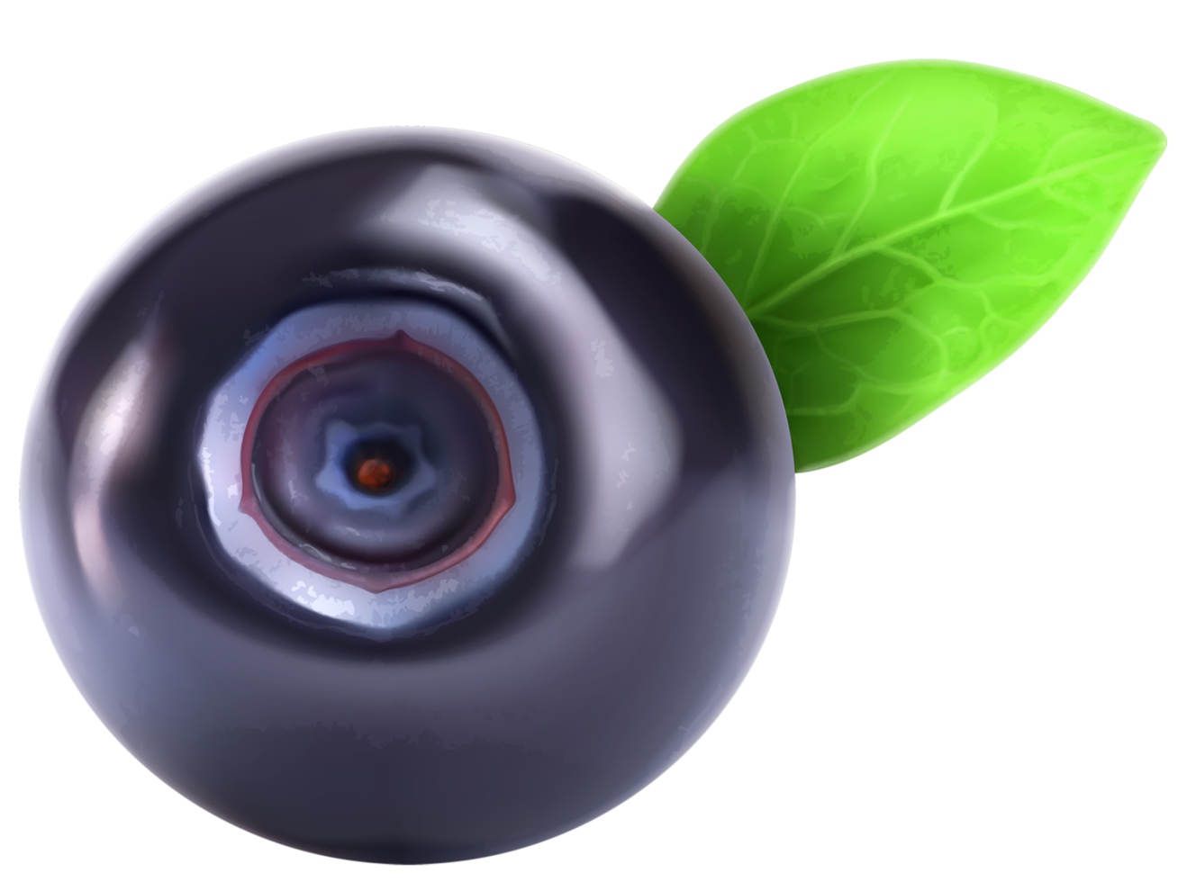 Blueberry Transparent Background png