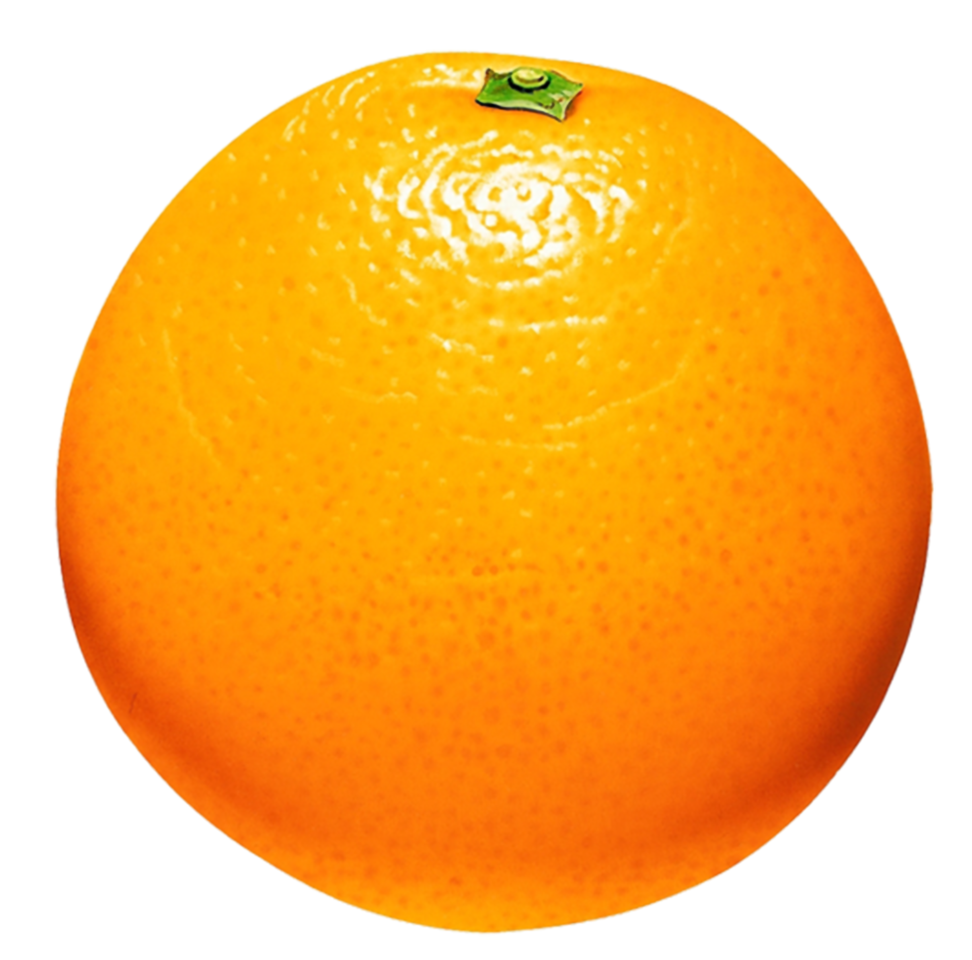 Orange Transparent Background 15100034 PNG