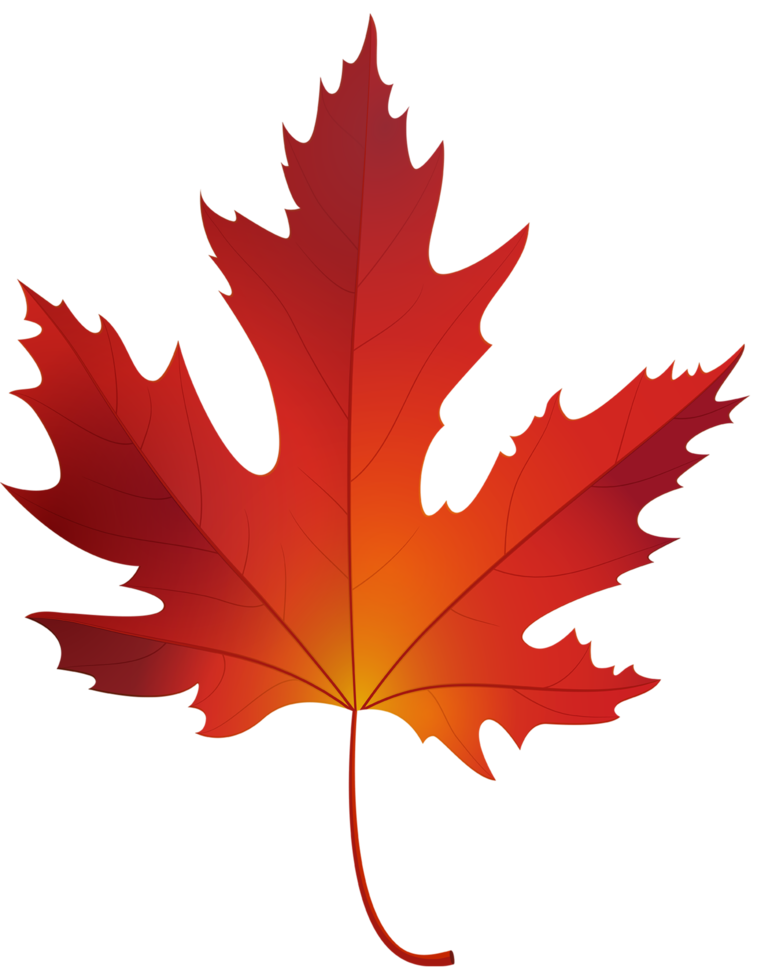 Autumn Maple Leaf png