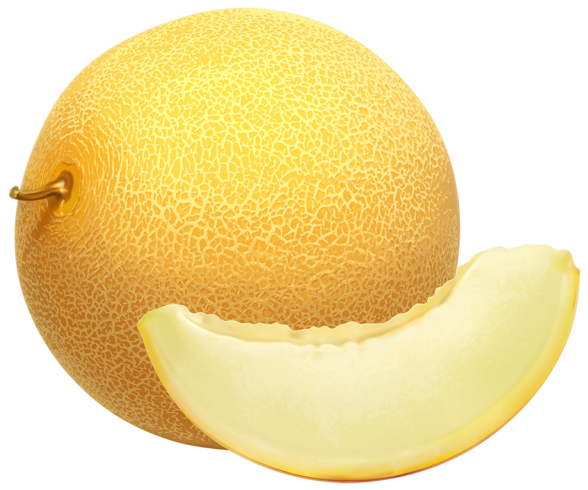 melón fondo transparente png