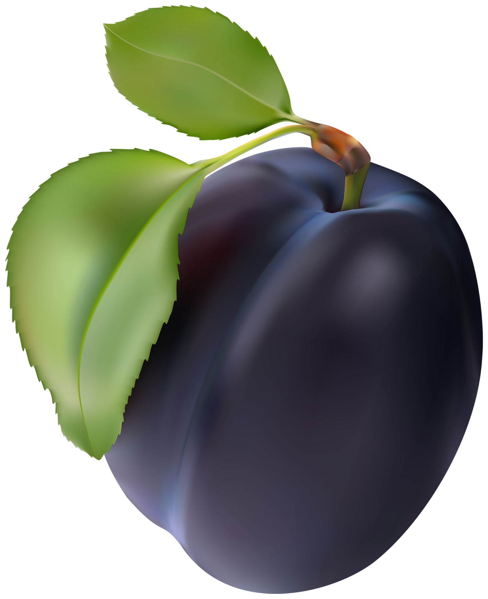 Plum Transparent Background 15100052 PNG