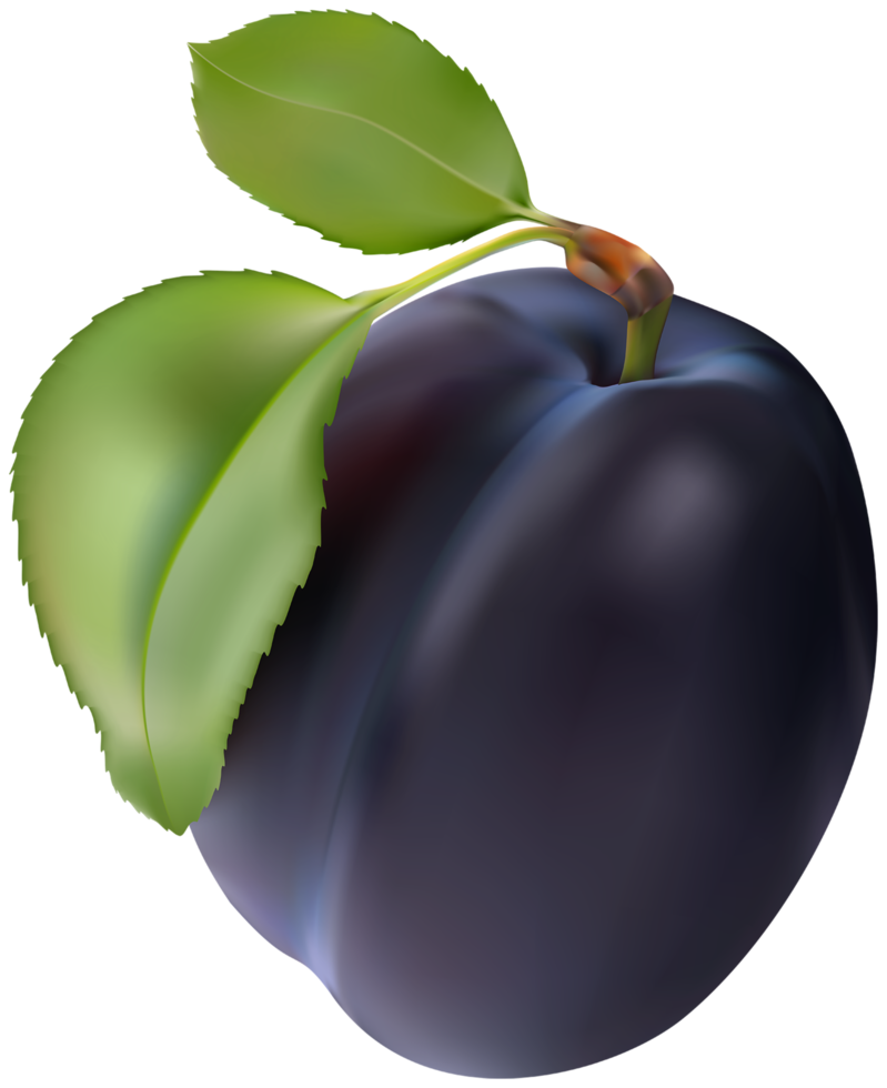 Plum Transparent Background png