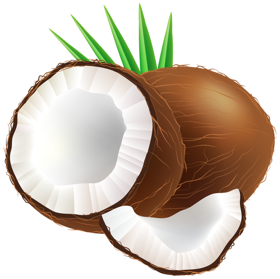 fond transparent de noix de coco png