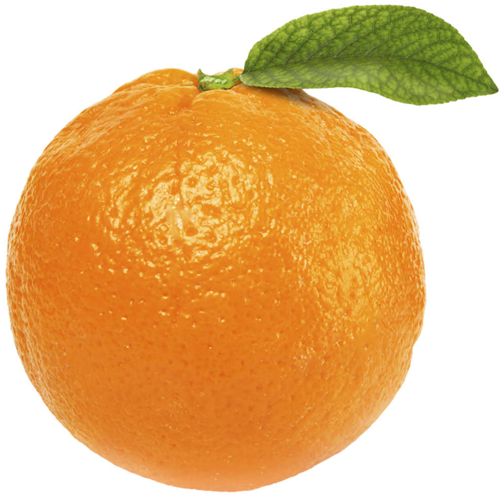 Orange mit Blatt png