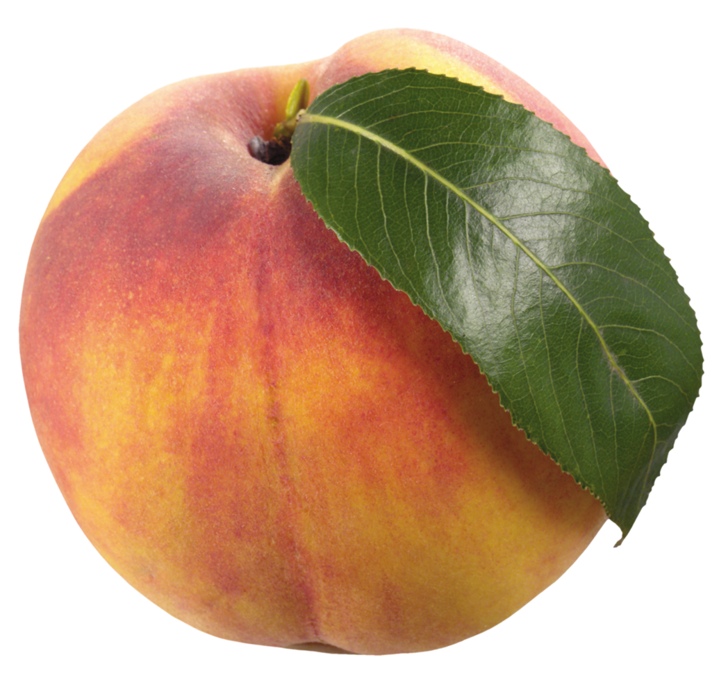 Peach with Leaf png