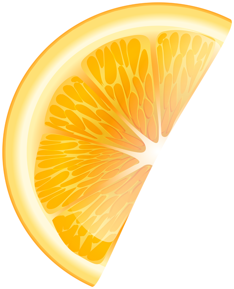 rodaja de naranja fondo transparente png