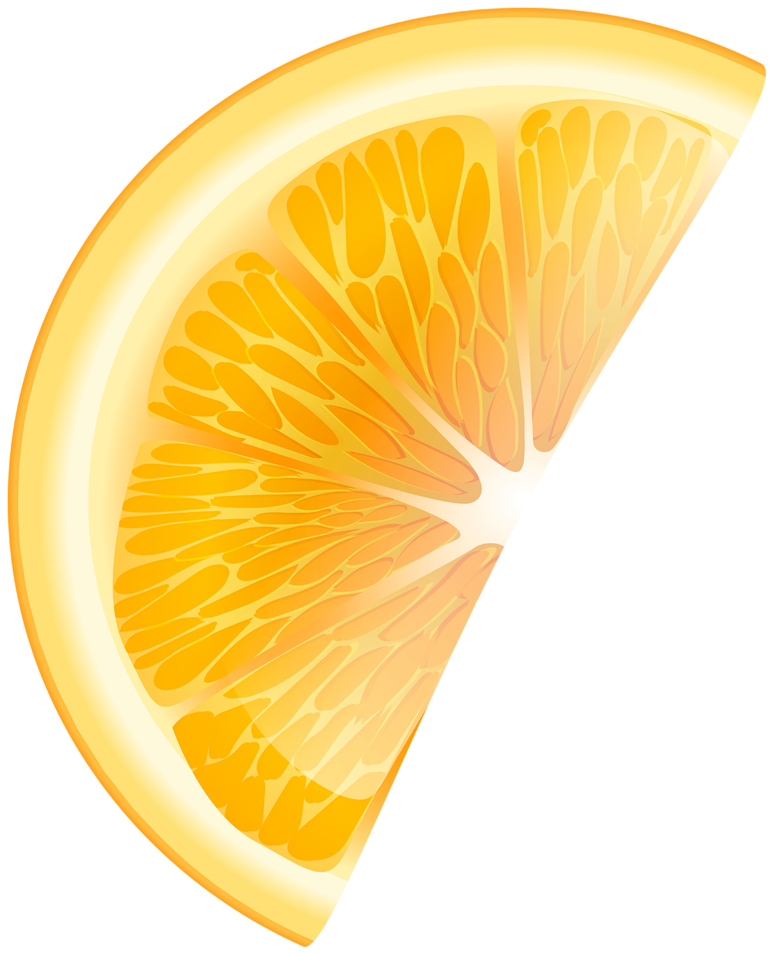 Orange Slice Transparent Background 15100079 PNG