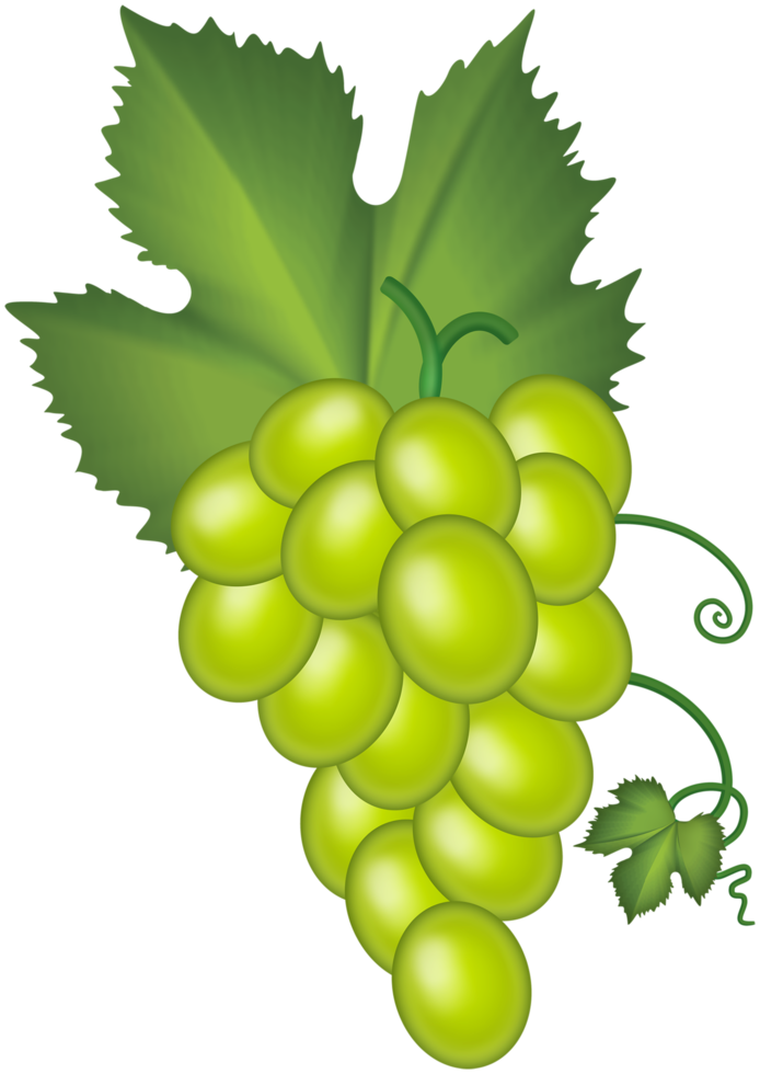 White Grape Cluster png