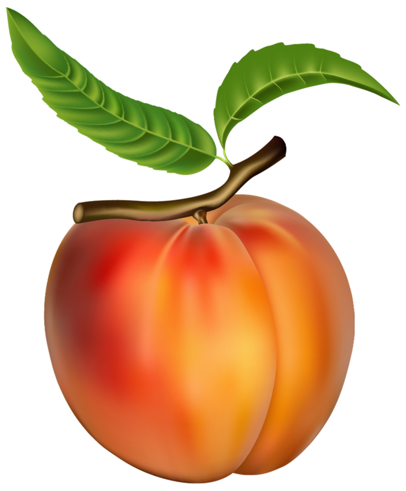 Peach Transparent Background png