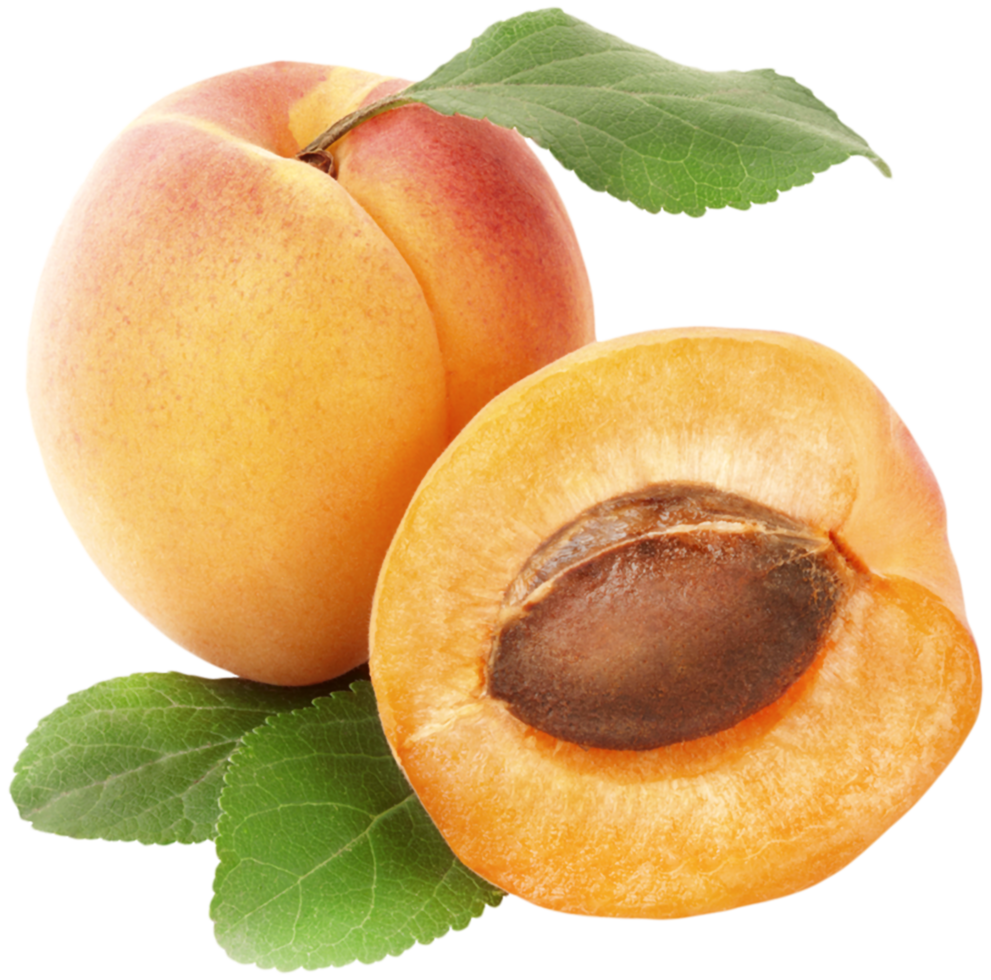 Apricots Transparent Background png