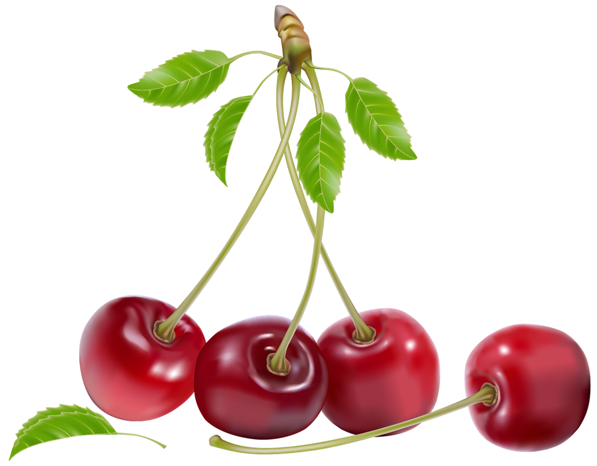 Cherries Transparent Background 15100109 PNG