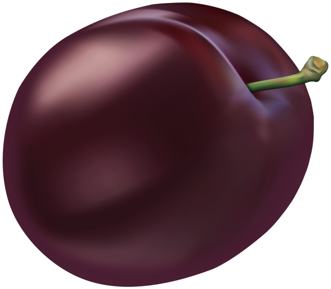 fond transparent prune png