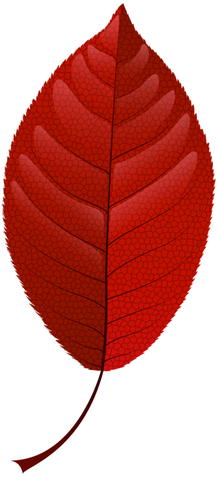 feuille d'automne rouge png