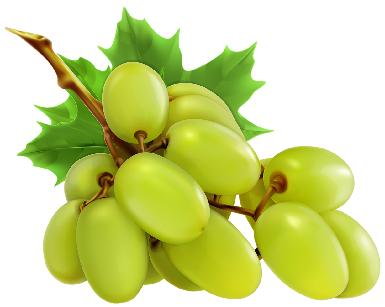 raisins blancs fond transparent png