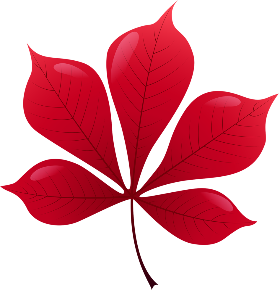röd blad transparent bakgrund png