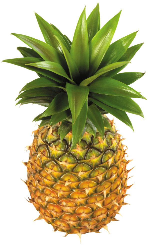 ananas frutta trasparente sfondo png