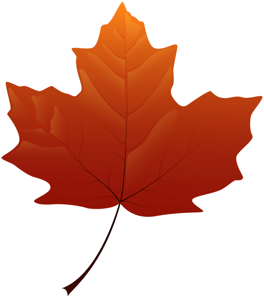 feuille d'automne fond transparent png