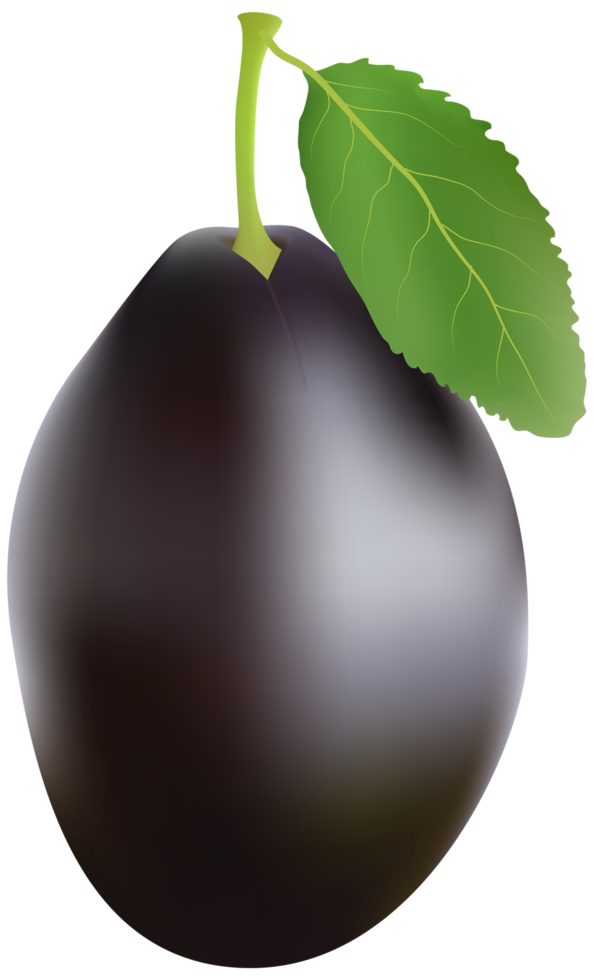 Plum Transparent Background png