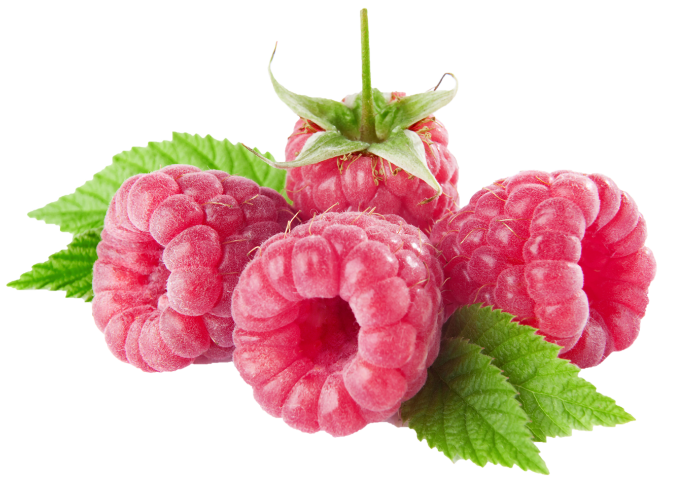 Raspberries Transparent Background png