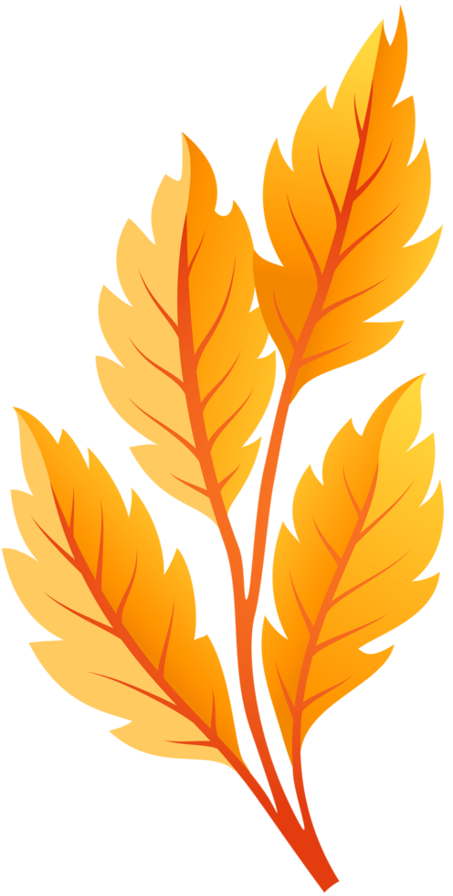 foglie di autunno arancione png