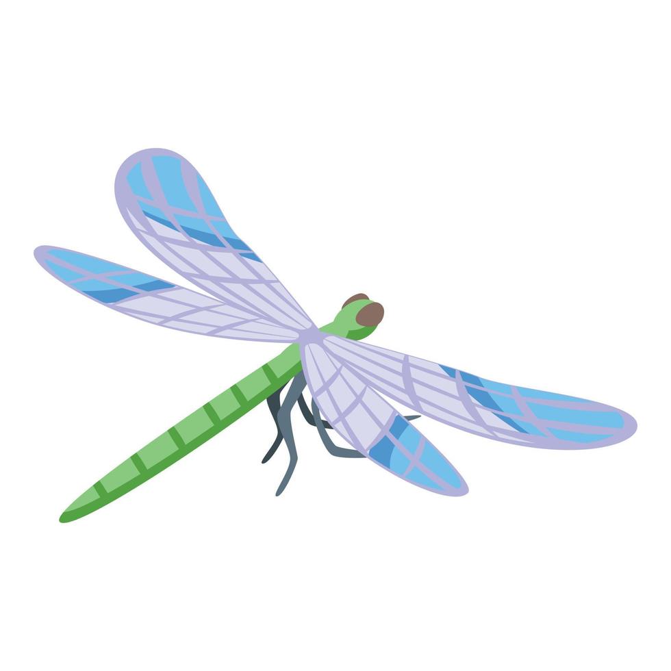 Cute bug icon isometric vector. Wing insect vector