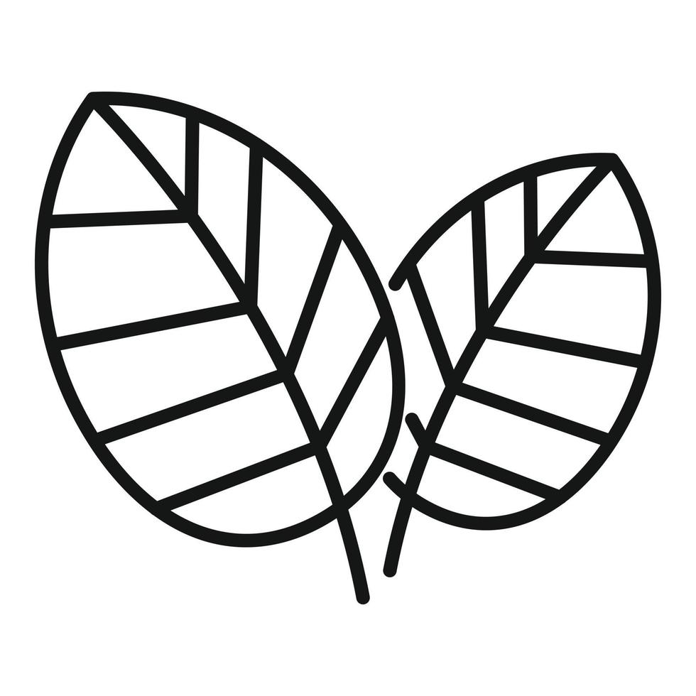 vector de contorno de icono de hojas de albahaca. planta de hierbas