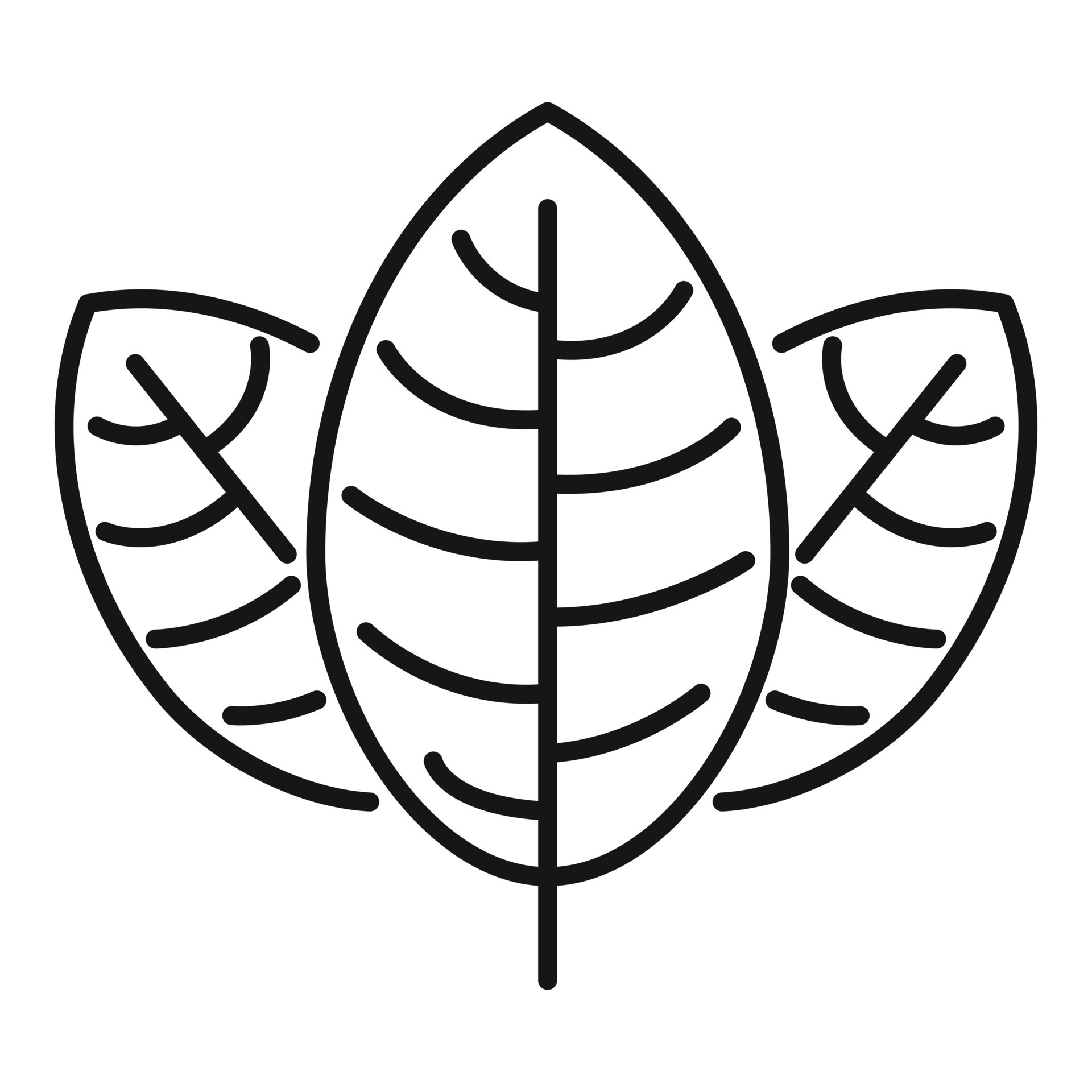 Basil leaf icon outline vector. Herb leaves 15109782 Vector Art at Vecteezy