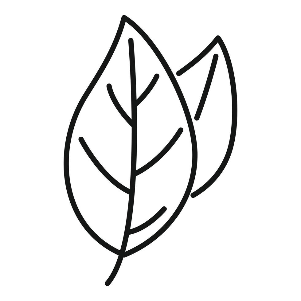 vector de contorno de icono de planta de especias de albahaca. hoja de hierba