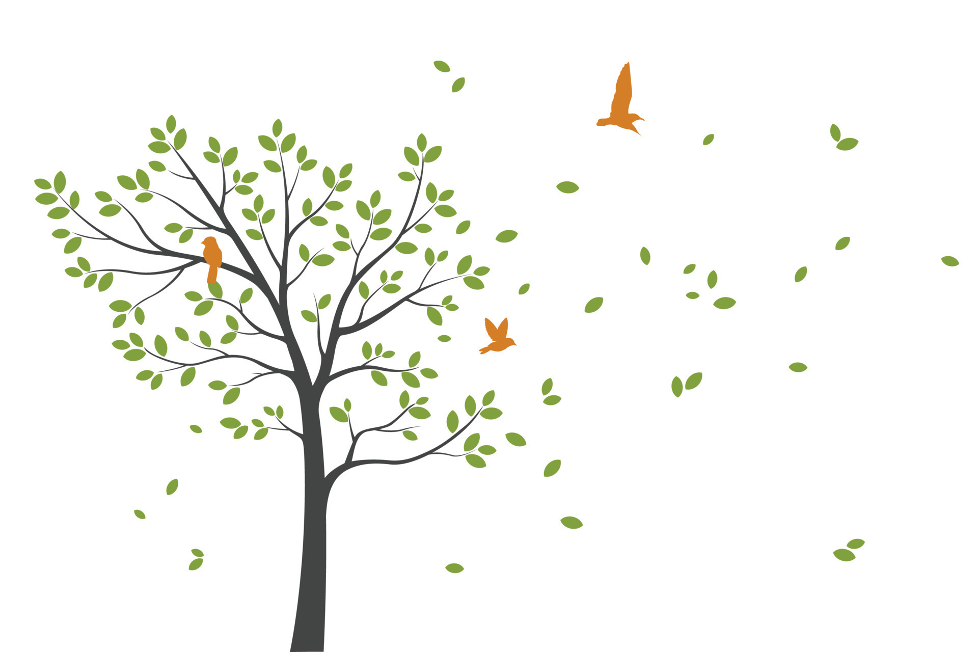 tree-wall-decoration-concept-bird-on-branch-wall-decoration-sticker