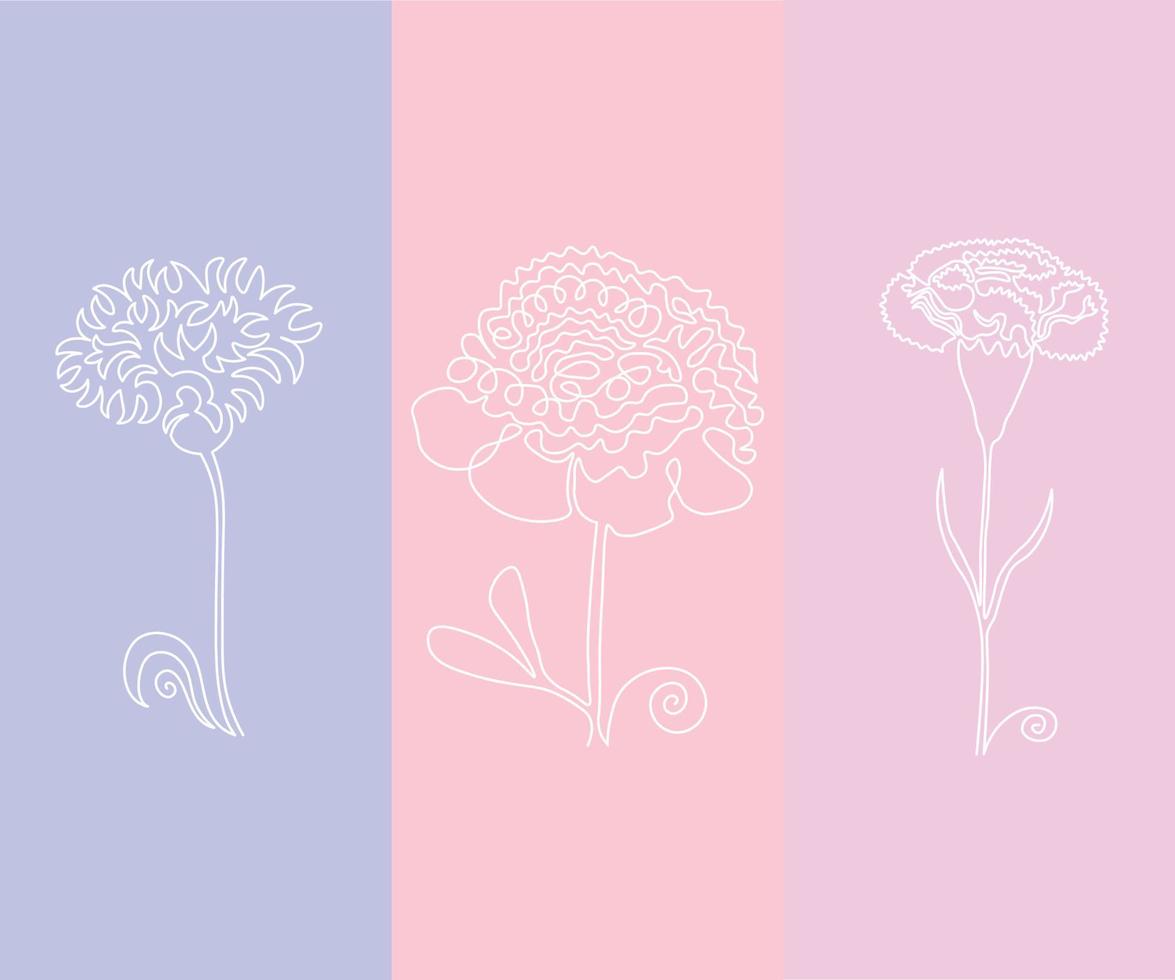 abstract flower cornflower,peony and carnation in on line art style vector