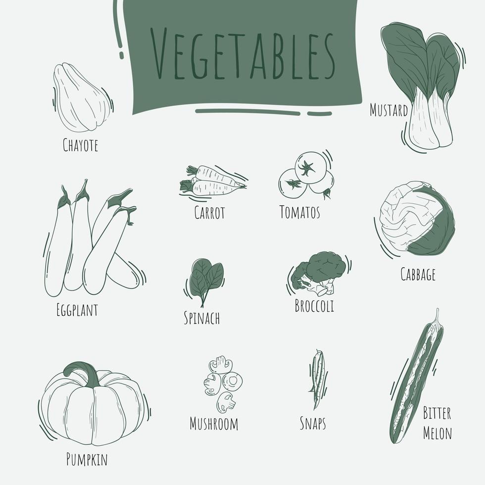 verduras con el nombre en el diseño de arte lineal para la plantilla de fondo del restaurante vector