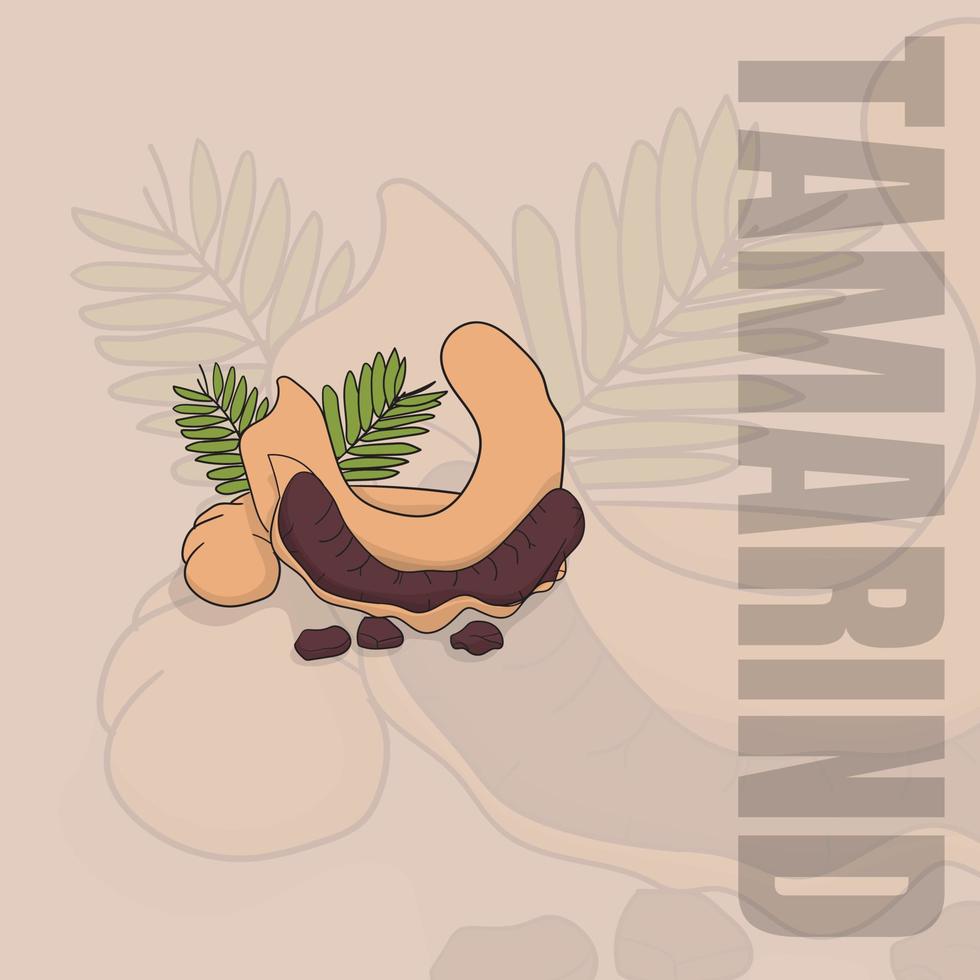 diseño de ilustración de vector de tamarindo con hoja de tamarindo para diseño de plantilla de restaurante