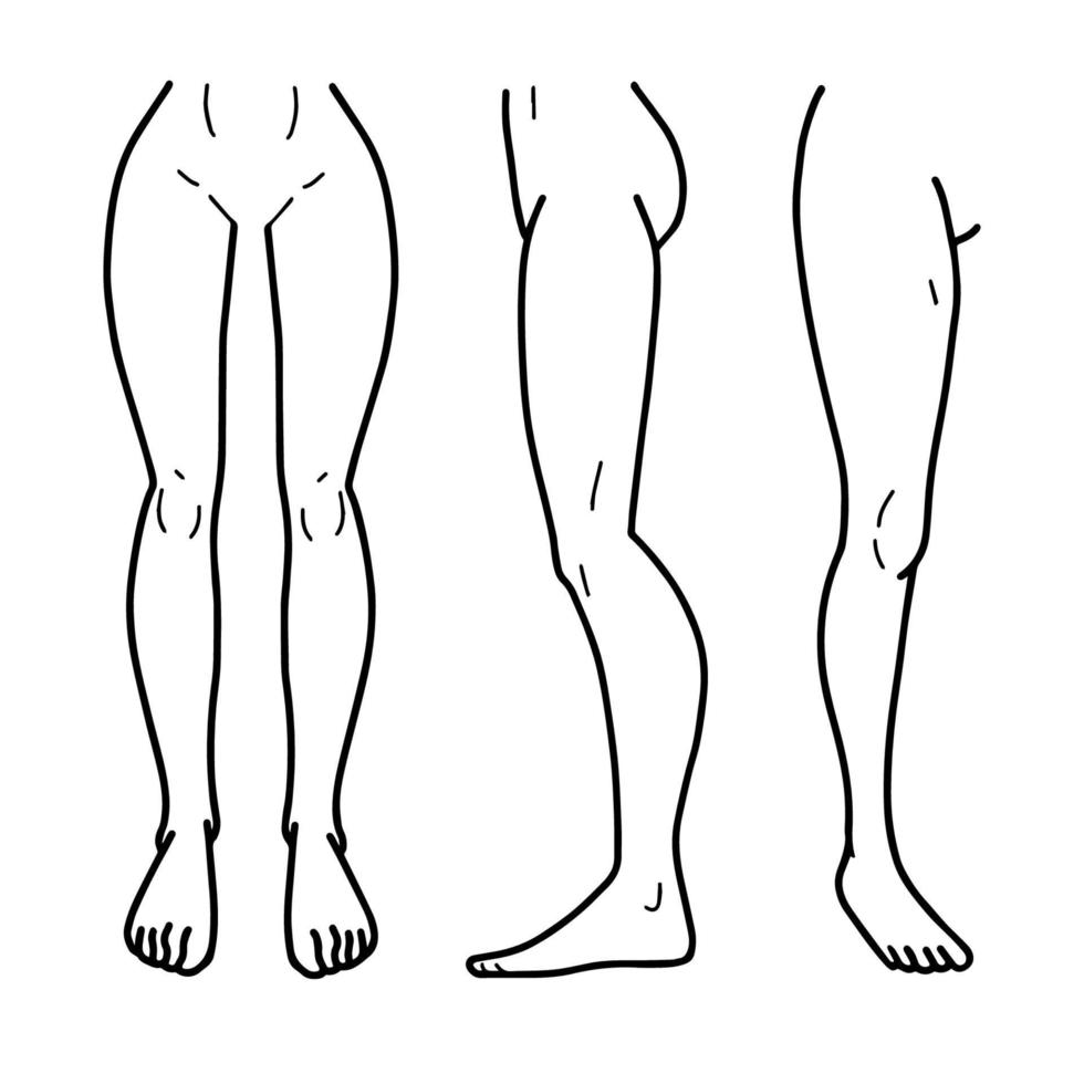 contorno de dibujos animados vectoriales, vista frontal y lateral, parte inferior del cuerpo de la anatomía masculina de pie. incompleto lineal dibujado a mano. Puedes usar esta imagen para el diseño de moda, etc. vector