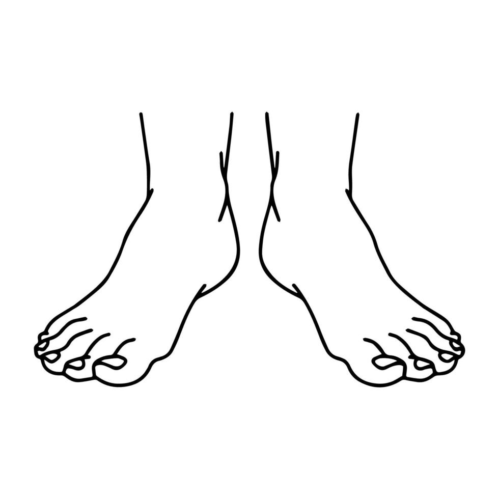 Vector Cartoon outline, Top view of Human man Left and right foot standing. Hand drawn linear sketchy. You can use this image for fashion design and etc.