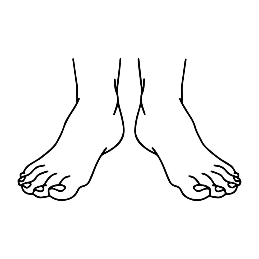 Vector Cartoon outline, Top view of Human man Left and right foot standing. Hand drawn linear sketchy. You can use this image for fashion design and etc.