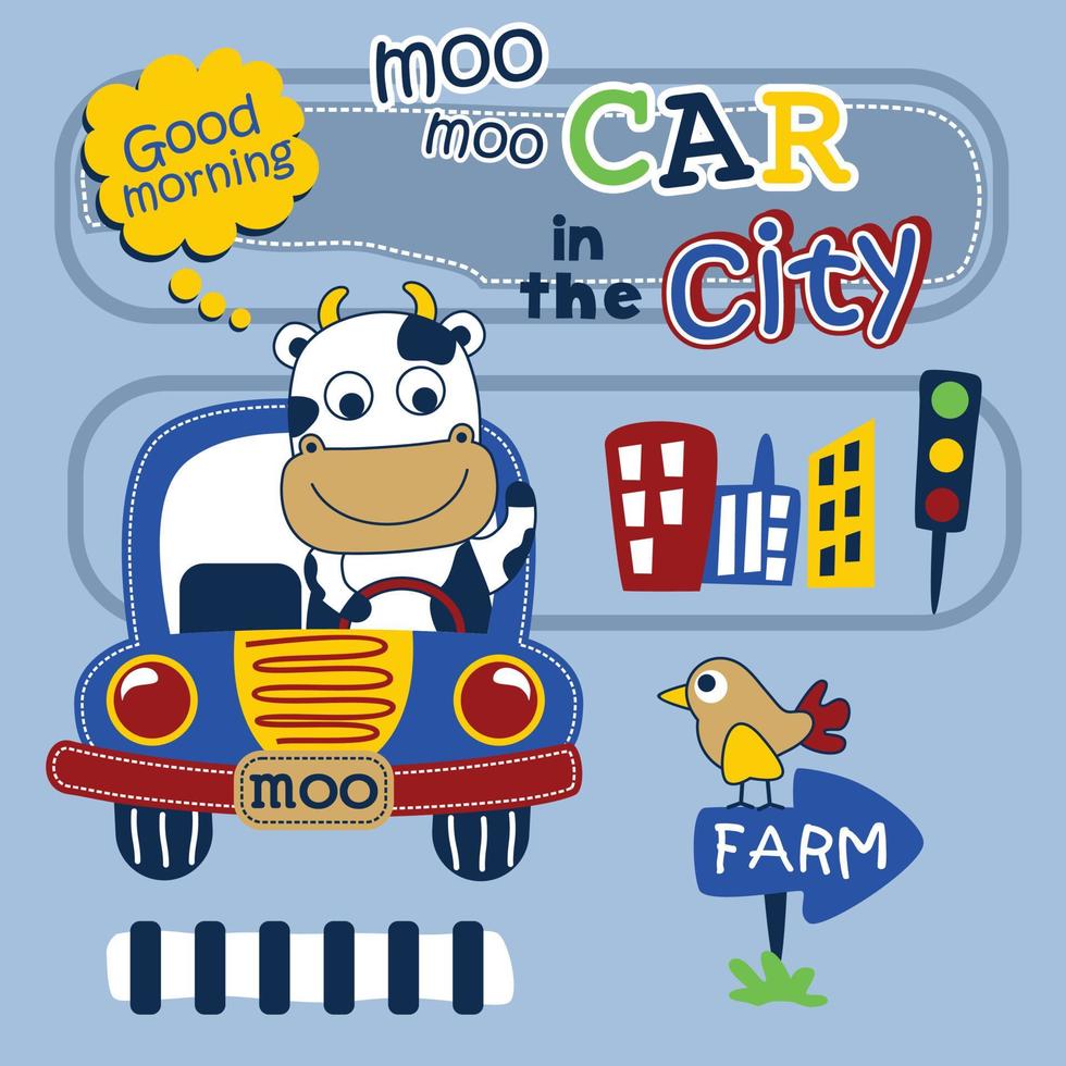 cow driving a car in the city funny animal cartoon,vector illustration vector