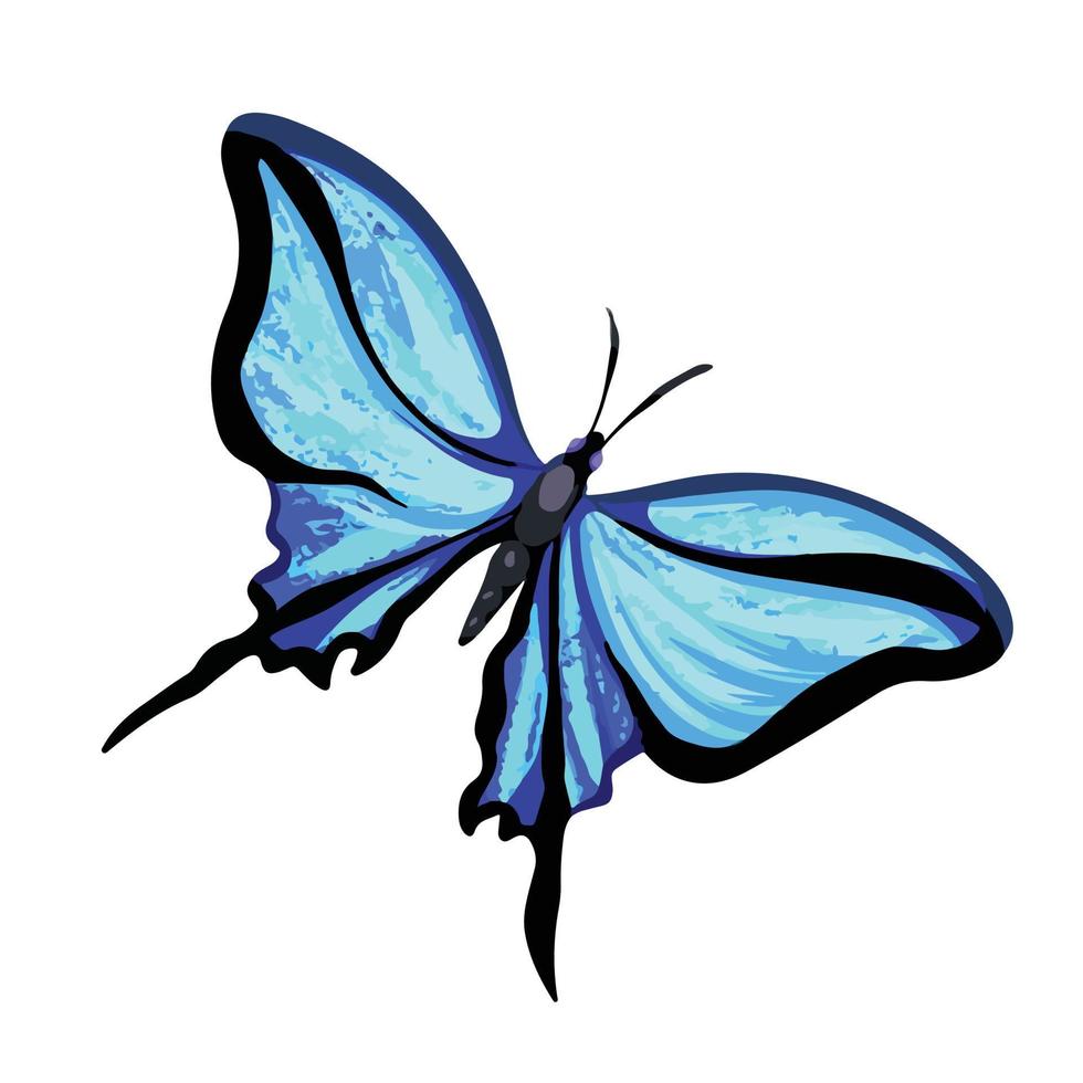 Blue butterfly full colored vector illustration isolated on white background. Beautiful insect animal drawing with fragile wings pictogram. Drawing with simple flat color.
