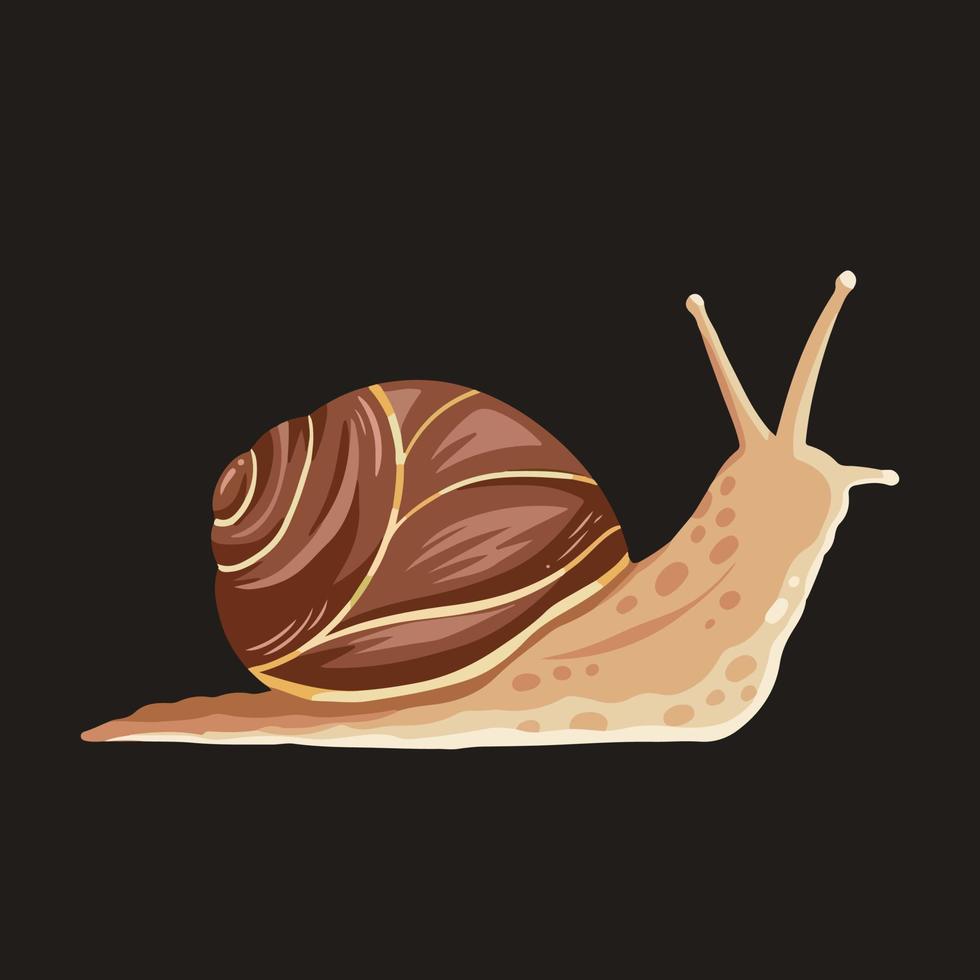 Snail vector illustration isolated on dark background. Full colored drawing with simple flat color and shape of small animal. Brown snail pictogram.